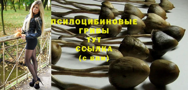 mdpv Алзамай