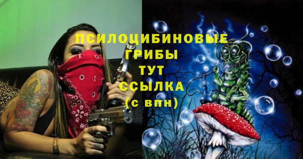 mdpv Алзамай